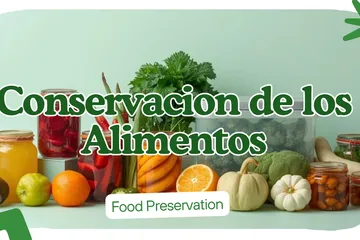 Metodos de Conservación de Alimentos: Guia Completa