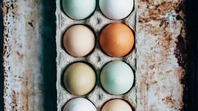 Cuanta Proteina Tiene el Huevo: Clara vs Yema