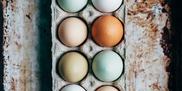 Cuanta Proteina Tiene el Huevo: Clara vs Yema