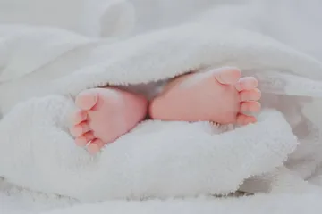Proteína en la Lactancia: Guía para Mamá y Bebé