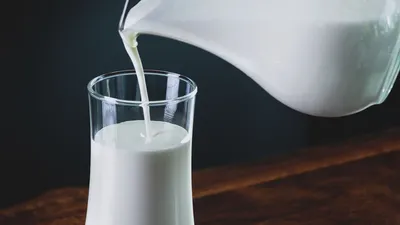 Proteína en Lacteos: Leche, Queso, Yogur y Mas