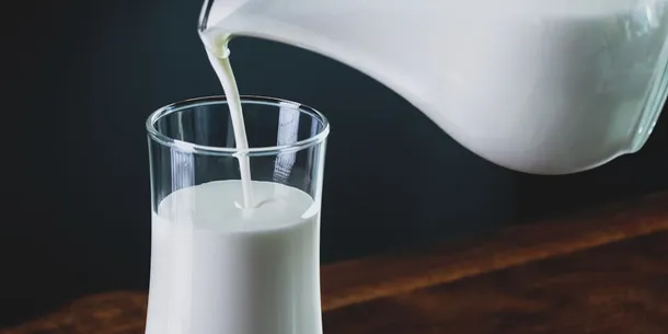 Proteina en Lacteos: Leche, Queso, Yogur y Mas